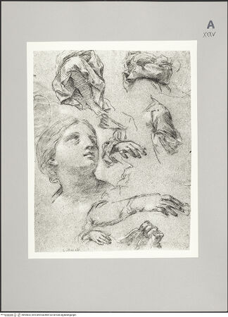 Vorderseite von Rheinisches Bildarchiv Köln [https://www.deutsche-digitale-bibliothek.de/content/lizenzen/rv-ez/] Detailstudien zu zwei Engeln für eine "Taufe Christi" - , bh594834_recto. Foto.
