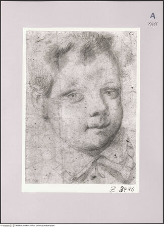 Vorderseite von Rheinisches Bildarchiv Köln [https://www.deutsche-digitale-bibliothek.de/content/lizenzen/rv-ez/] Knabenkopf im dreiviertel Porträt - , bh594889_recto. Foto.