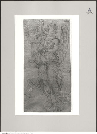 Vorderseite von Martin von Wagner Museum der Universität [https://www.deutsche-digitale-bibliothek.de/content/lizenzen/rv-ez/] Engel in Wolken - , bh595012_recto. Foto.