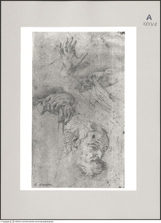 Vorderseite von Martin von Wagner Museum der Universität [https://www.deutsche-digitale-bibliothek.de/content/lizenzen/rv-ez/] Kopf und Handstudien - , bh595015_recto. Foto.