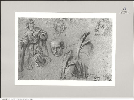 Vorderseite von Martin von Wagner Museum der Universität [https://www.deutsche-digitale-bibliothek.de/content/lizenzen/rv-ez/] Gewand- und Kopfstudien - , bh595019_recto. Foto.