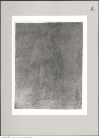 Vorderseite von Martin von Wagner Museum der Universität [https://www.deutsche-digitale-bibliothek.de/content/lizenzen/rv-ez/] Studie für die Gestalt der Maria - , bh595052_recto. Foto.