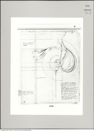 Vorderseite von Centro Studi Antonio Sangallo il Giovane, Montefiascone [http://creativecommons.org/publicdomain/mark/1.0/] Rom, Cortile del Belvedere, ionisches Kapitel - , bh595381_recto. Foto.