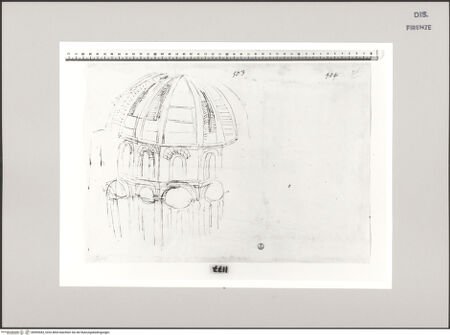 Vorderseite von Centro Studi Antonio Sangallo il Giovane, Montefiascone [http://creativecommons.org/publicdomain/mark/1.0/] Rom, Nymphäum in den Orti Linciniani - , bh595443_recto. Foto.