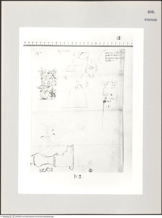 Vorderseite von Centro Studi Antonio Sangallo il Giovane, Montefiascone [https://www.deutsche-digitale-bibliothek.de/content/lizenzen/rv-ez/] Antike Kapitelle und Dekorationen - , bh595523_recto. Foto.