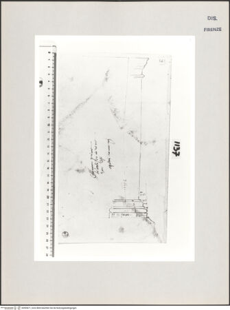Vorderseite von Centro Studi Antonio Sangallo il Giovane, Montefiascone [https://www.deutsche-digitale-bibliothek.de/content/lizenzen/rv-ez/] Rom, Kolosseum, Halbsäule mit Basis und Kapitell der ersten Ordnung im Profil - , bh595671_recto. Foto.