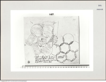 Vorderseite von Centro Studi Antonio Sangallo il Giovane, Montefiascone [https://www.deutsche-digitale-bibliothek.de/content/lizenzen/rv-ez/] Rom, Thermen des Nero Alexander, Bodenmosaik - , bh595715_recto. Foto.