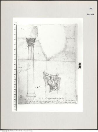 Vorderseite von Centro Studi Antonio Sangallo il Giovane, Montefiascone [https://www.deutsche-digitale-bibliothek.de/content/lizenzen/rv-ez/] Rom, Studie nach einer antiken Säule und einem Kapitell - , bh595836_recto. Foto.