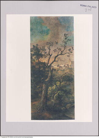 Vorderseite von bh595895_recto