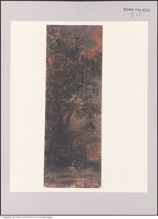 Vorderseite von bh595896_recto