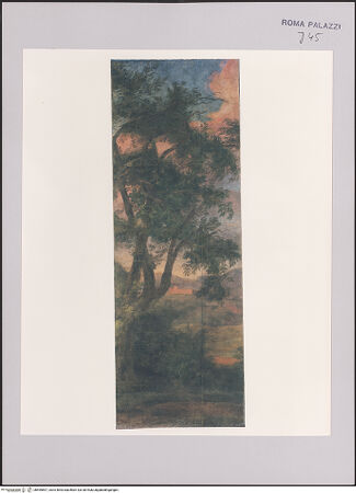 Vorderseite von bh595897_recto