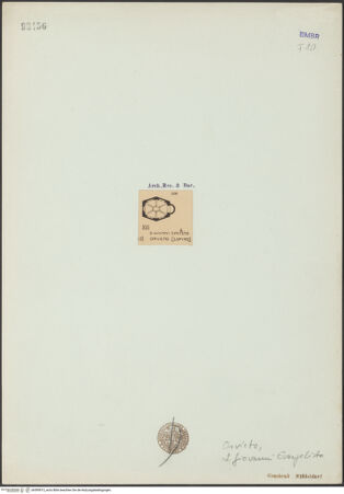 Vorderseite von bh595913_recto