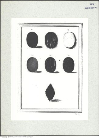 Vorderseite von bh598430_recto