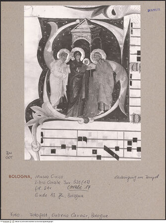 Vorderseite von bh600193_recto