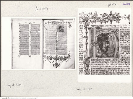 Vorderseite von bh600238_bh600239_recto
