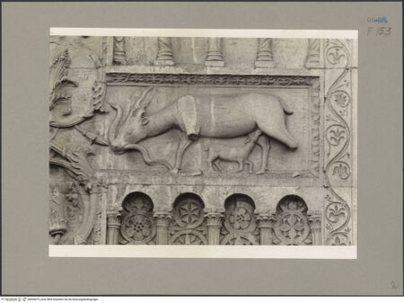 Vorderseite von bh600473_recto