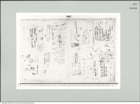 Vorderseite von Centro Studi Antonio Sangallo il Giovane, Montefiascone [https://www.deutsche-digitale-bibliothek.de/content/lizenzen/rv-ez/] Überprüfungen der Verhältnisse zwischen Säulendurchmessern und Gebälkhöhen an antiken Bauten in Rom - , bh600749_recto. Foto.
