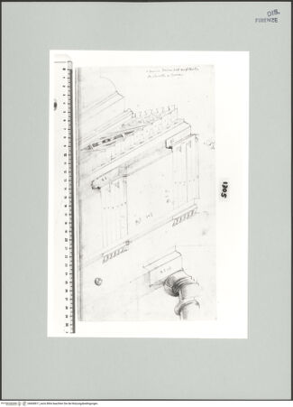 Vorderseite von Centro Studi Antonio Sangallo il Giovane, Montefiascone [https://www.deutsche-digitale-bibliothek.de/content/lizenzen/rv-ez/] Rom, Schnitt und axonometrische Ansicht des Dorischen Gebälks des Marcellustheaters - , bh600817_recto. Foto.