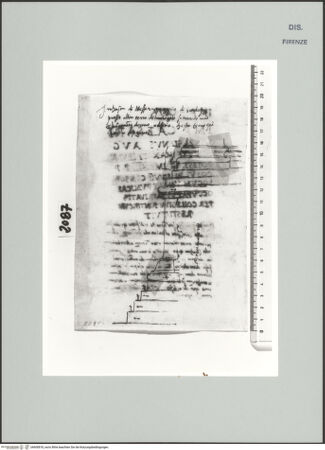 Vorderseite von Centro Studi Antonio Sangallo il Giovane, Montefiascone [https://www.deutsche-digitale-bibliothek.de/content/lizenzen/rv-ez/] Sockel eines antiken Gebäudes am Haus des Gregorio de Serlupi - , bh600818_recto. Foto.
