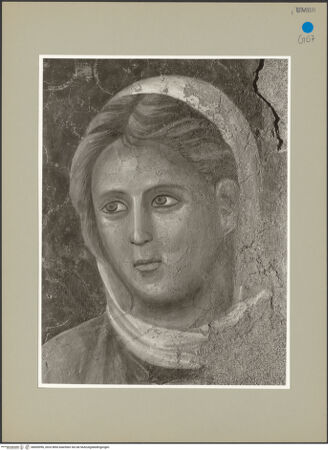 Vorderseite von bh600996_recto