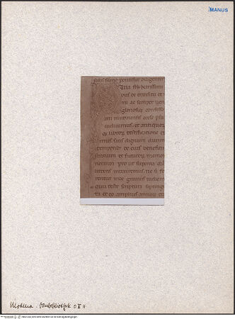 Vorderseite von bh601383_recto