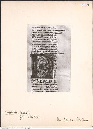 Vorderseite von bh601384_recto