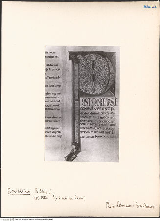 Vorderseite von bh601391_recto