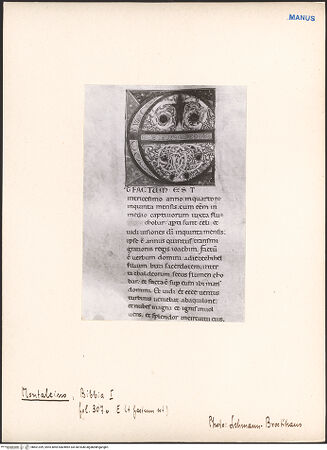 Vorderseite von bh601399_recto