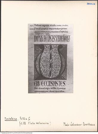 Vorderseite von bh601411_recto