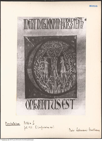 Vorderseite von bh601415_recto