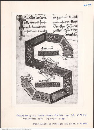 Vorderseite von bh601438_recto