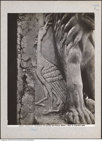 Vorderseite von bh601656_recto