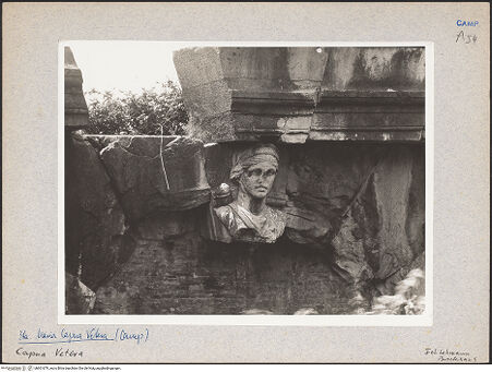 Vorderseite von Bibliotheca Hertziana [https://www.deutsche-digitale-bibliothek.de/content/lizenzen/rv-fz/] Kopf einer weiblichen Gottheit - Seitenansicht, bh601679_recto. Foto: Lehmann-Brockhaus, Otto.