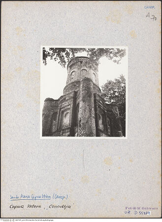 Vorderseite von Bibliotheca Hertziana [https://www.deutsche-digitale-bibliothek.de/content/lizenzen/rv-fz/] Römisches Grabmal, genannt "Conocchia" - Teilansicht, bh601681_recto. Foto: Schwarz, Heinrich Mathias.