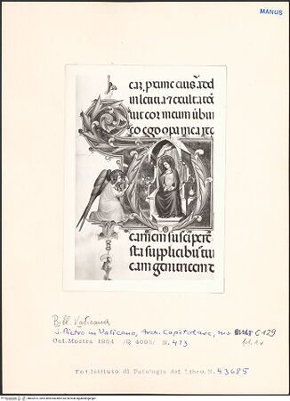 Vorderseite von bh602513_recto