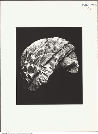 Vorderseite von bh602547_recto