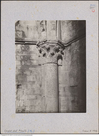 Vorderseite von bh602610_recto