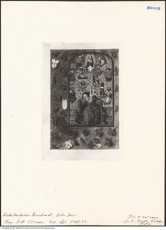 Vorderseite von bh602684_recto