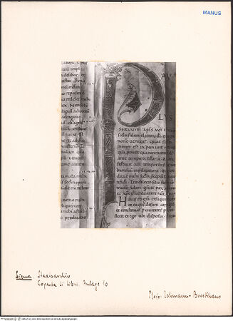 Vorderseite von bh602732_recto