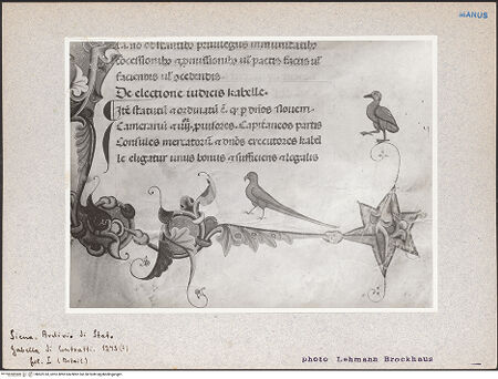 Vorderseite von bh602743_recto