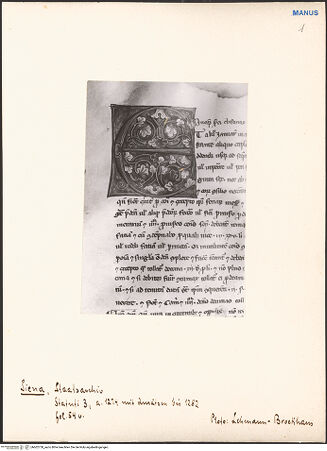 Vorderseite von bh602750_recto