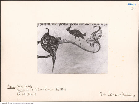 Vorderseite von bh602763_recto