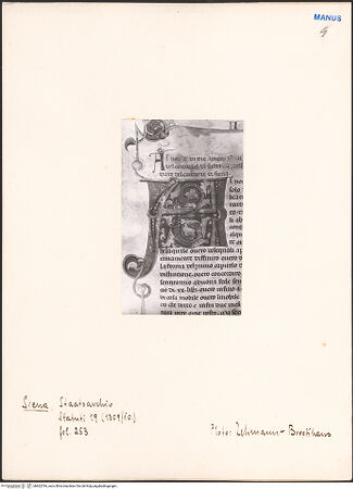 Vorderseite von bh602784_recto