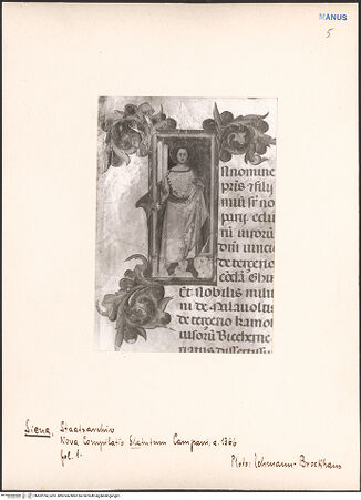 Vorderseite von bh602794_recto