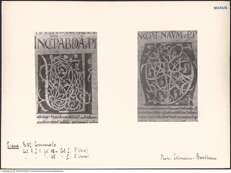 Vorderseite von bh602814_bh602815_recto