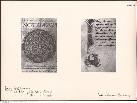 Vorderseite von bh602816_bh602817_recto