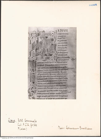 Vorderseite von bh602822_recto