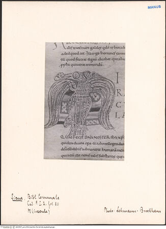 Vorderseite von bh602827_recto