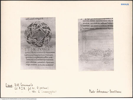 Vorderseite von bh602830_bh602824_recto