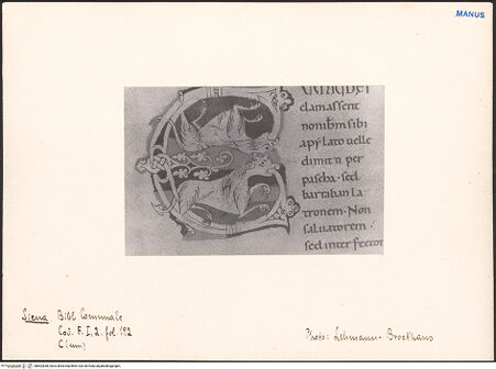 Vorderseite von bh602838_recto